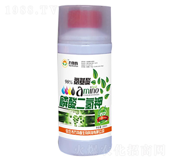 ��������������-�f�ﴺ