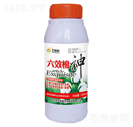 1000ml��Ч����-�f�ﴺ