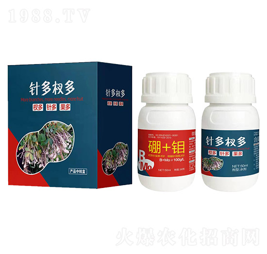 ᘶ�辶�-������