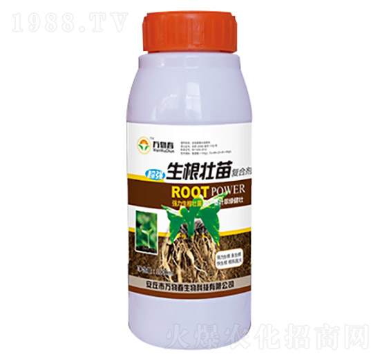 1000ml��������ͺτ�-�f�ﴺ