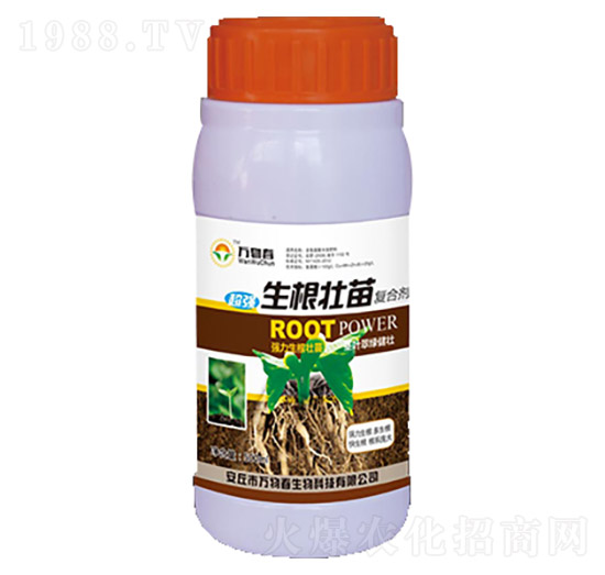 500ml���������(f��)�τ�-�f�ﴺ