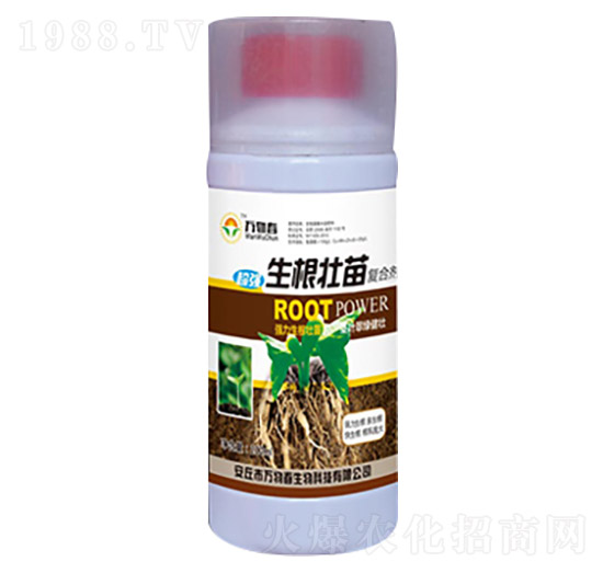 200ml���������(f��)�τ�-�f�ﴺ