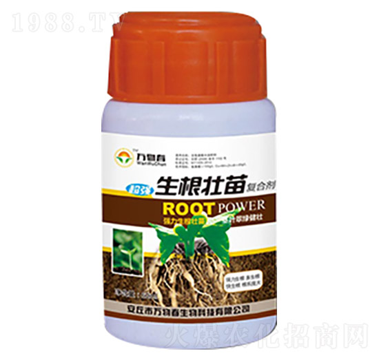 ���������(f��)�τ�-�f�ﴺ