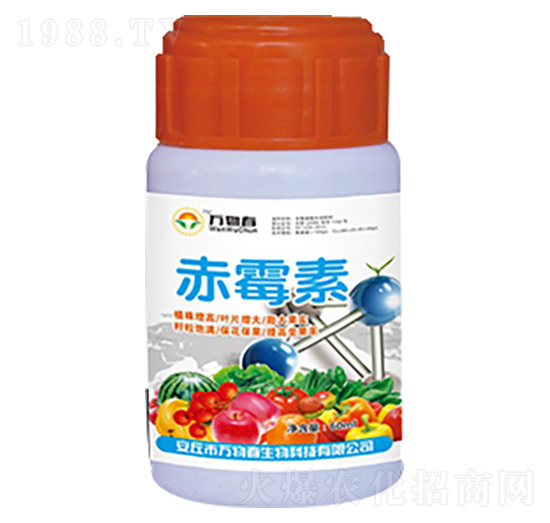 ��ù��-�f(w��n)�ﴺ