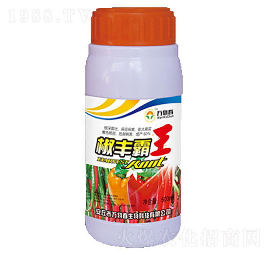 500ml���S����-�f(w��n)�ﴺ