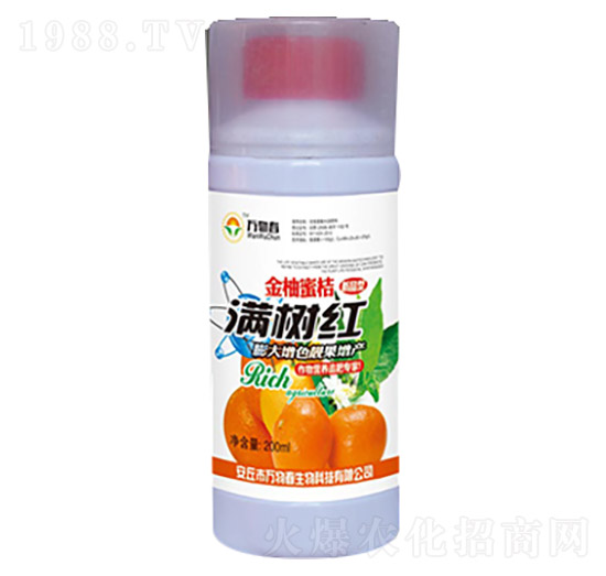 �����۽۝M��t-�f�ﴺ