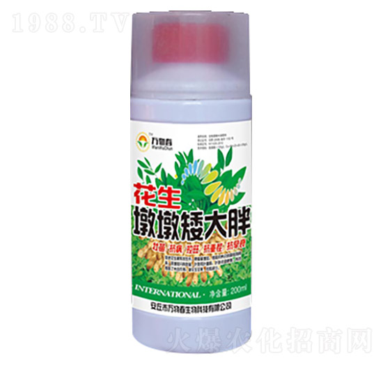 �����նհ�����-�f�ﴺ