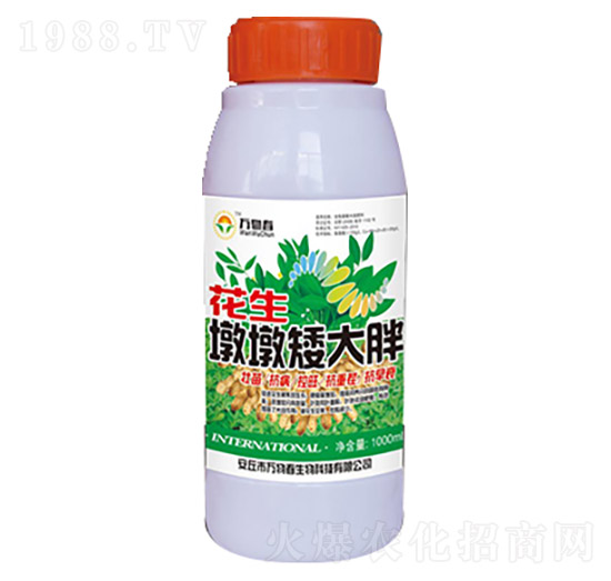 1000ml�����նհ�����-�f�ﴺ