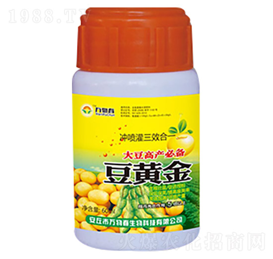 ���S��-�f(w��n)�ﴺ