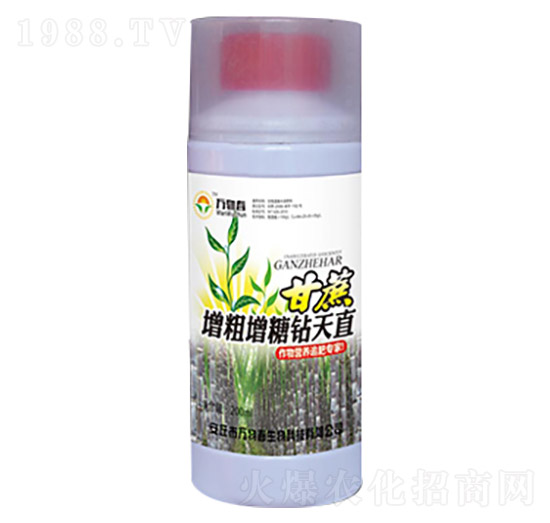 �������������@��ֱ-�f(w��n)�ﴺ