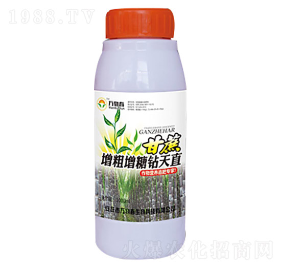 1000ml�������������@��ֱ-�f(w��n)�ﴺ