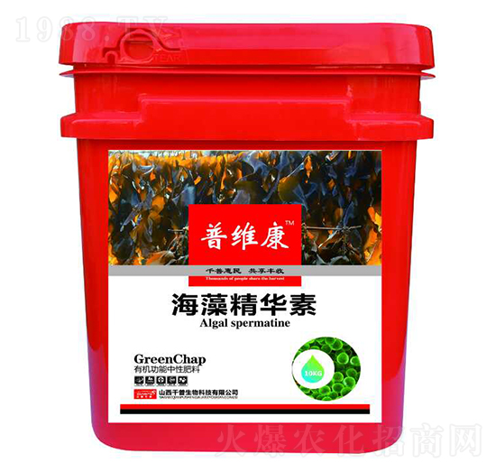 ���徫�A��-�վS��-ǧ������