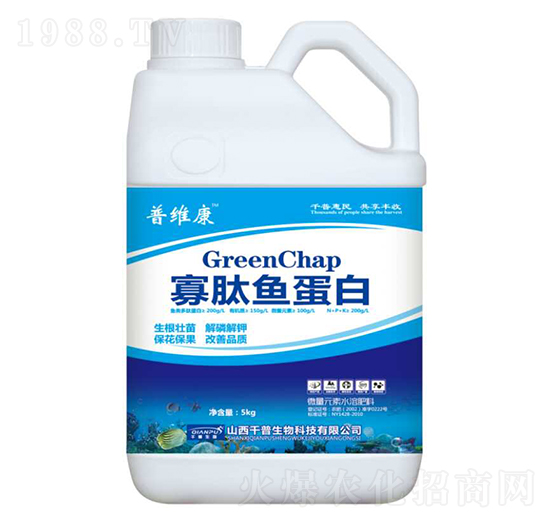 �����~(y��)����-�վS��-ǧ������