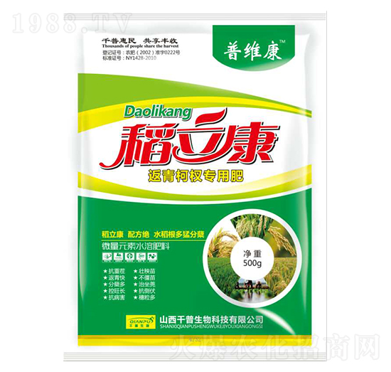 �����辌��÷�-������-�վS��-ǧ������