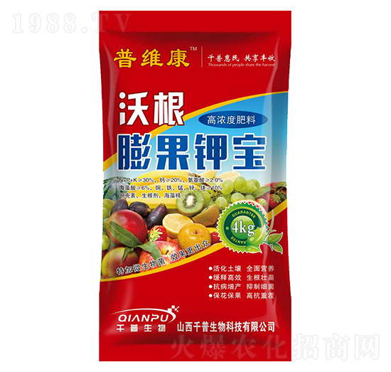 �ߝ�ȷ���-�Ҹ����⛌�-�վS��-ǧ������