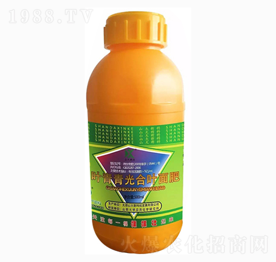 �~�������~���-ɽ���¿�