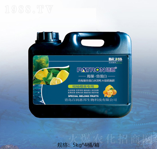 ������ٺ����~����-�ٝ�(r��n)�ݰ�