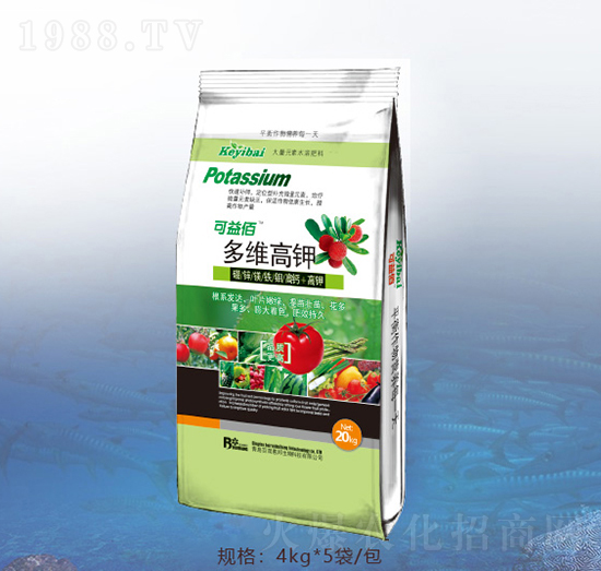 ������-�ٝ��ݰ�