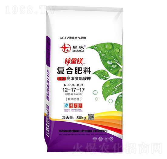 �ߝ������⛏ͺϷ���12-17-17-�\���V-�е���ʢ