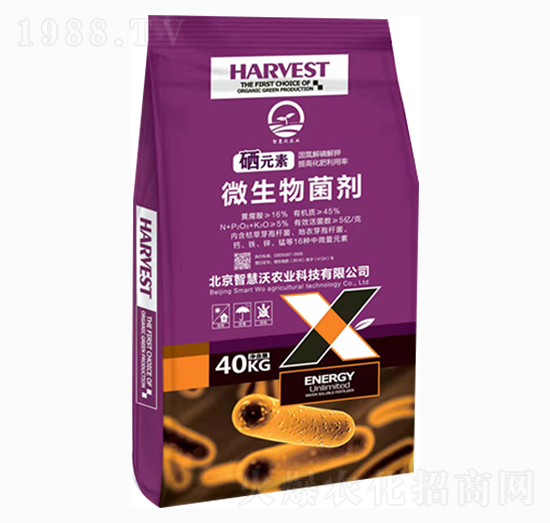 ΢�������-�ǻ���