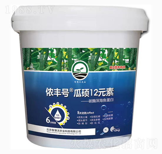 �ϴT12Ԫ��-�z�S̖-�ǻ���