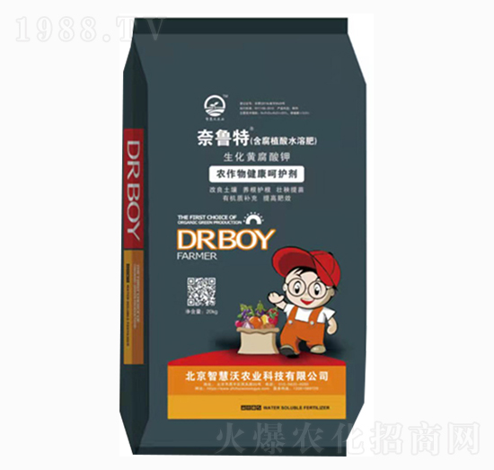 �����S�����-������-�ǻ���