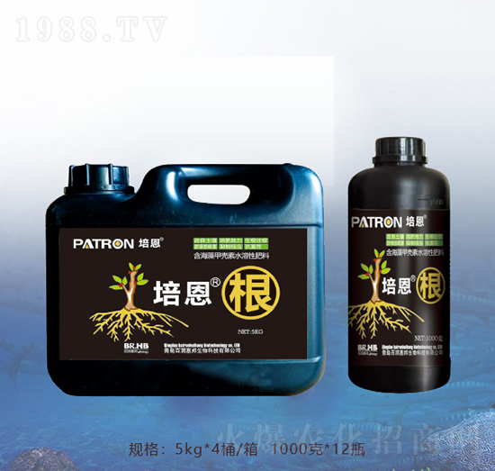 �����-�ٝ��ݰ�