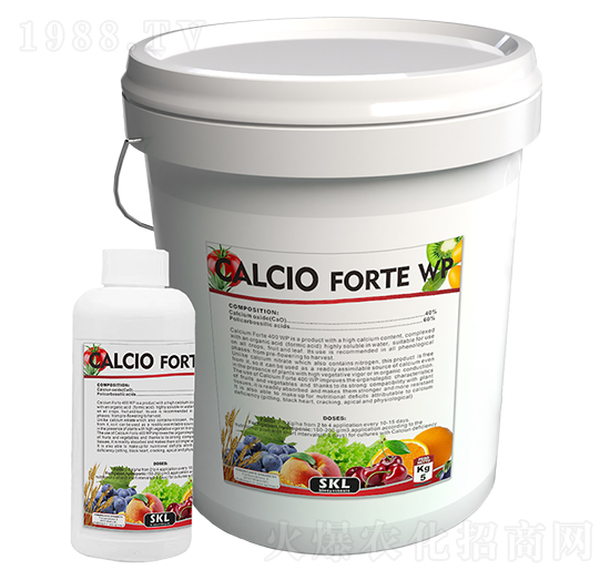 ������-˹�͸��_