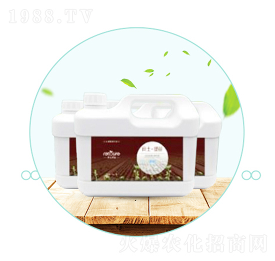 ����������-��������