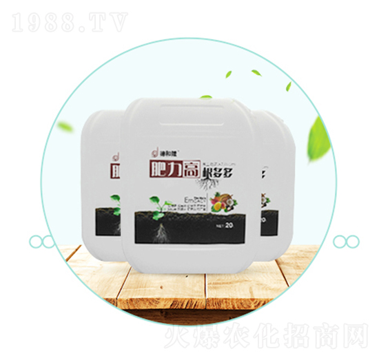 �����ߡ������-��������