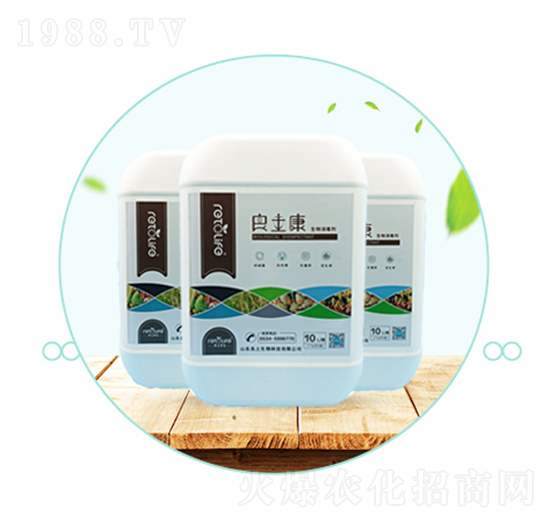 ������������������������-��������