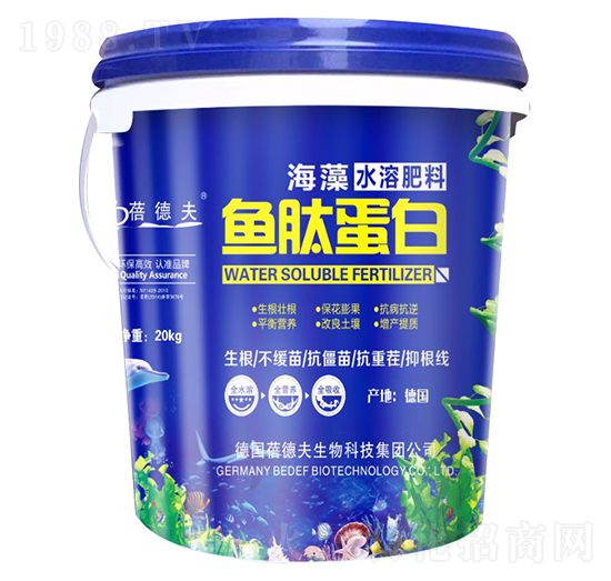 �~(y��)�ĵ���-�����S