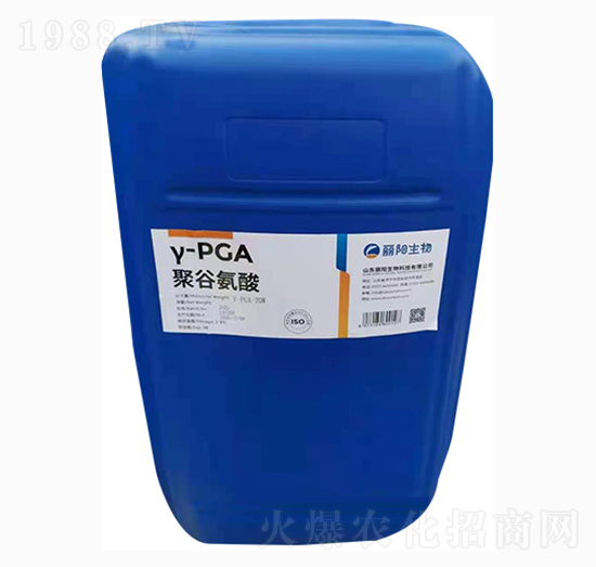 �۹Ȱ���-�������