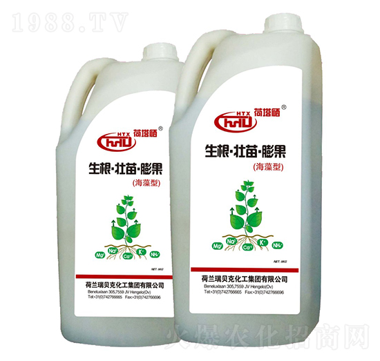 �����������������������-����ʿ