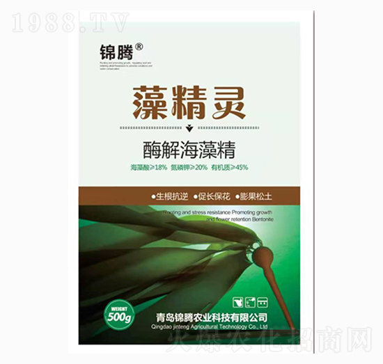 ø�⺣�徫-�徫�`-�\�v�r(n��ng)�I(y��)