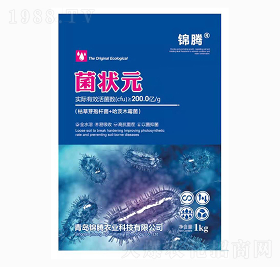 �ݲ�ѿ�ߗU��+����ľù��-����Ԫ-�\�v�r(n��ng)�I(y��)