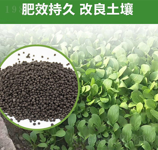 �G�����÷�-�����S