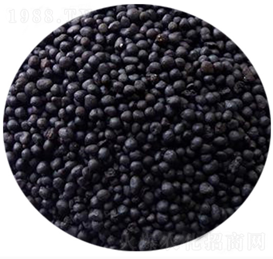 �ЙC�ʈA�w��-�����S