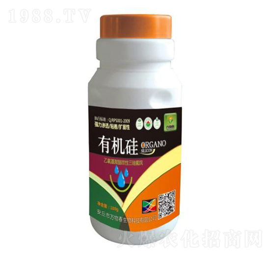 �ЙC��-�f�ﴺ