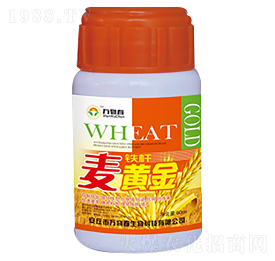 60ml�F�U���S��-�f�ﴺ