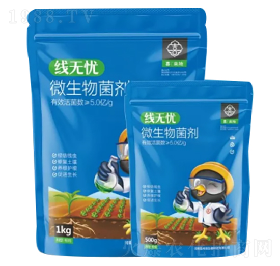 ΢�������-���o�n-ϲ����