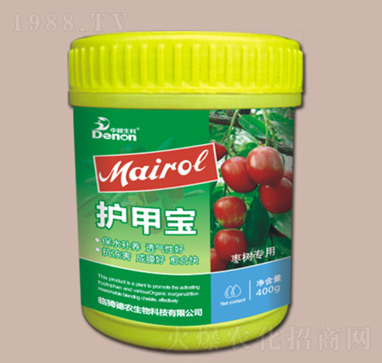 �o�׌�-���r