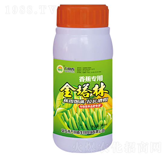 �㽶���ý�����-�f�ﴺ