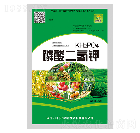 ��������-�f�ﴺ