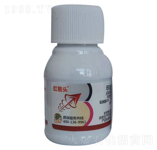 4.9%�׾S��ʭ����-�t���^-�̎��r(n��ng)�I(y��)