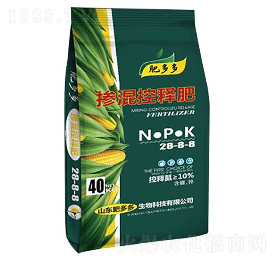 �����ጷ�-�ʶ��