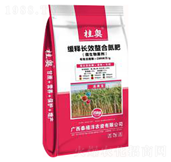 ����LЧ���ϵ���-̩����