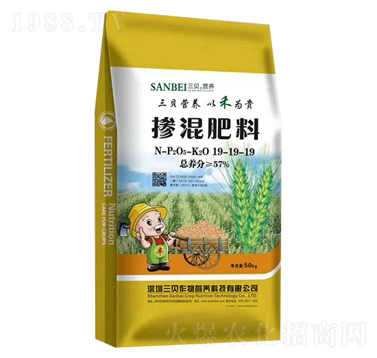 �������19-19-19-��ؐ��(l��)�S