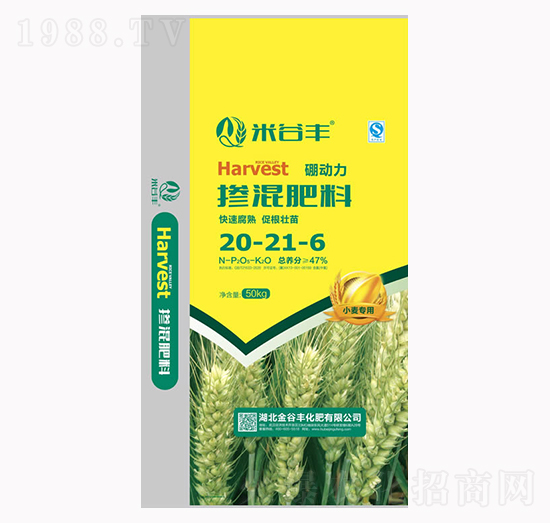 �������20-21-6-�׹��S-����S����