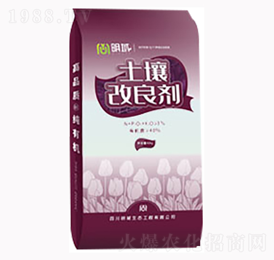 ����������10-5-10-�������B(t��i)